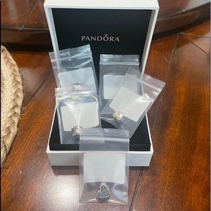 Pandora .925 Sterling Charms. New in bags/box. Never used.